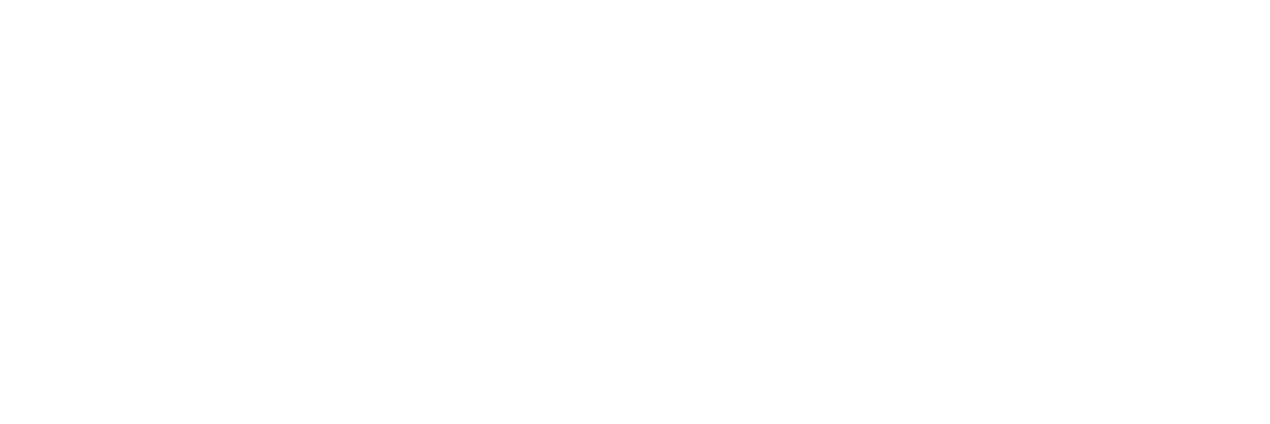 logo2